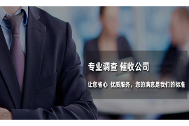 宜州宜州讨债公司服务